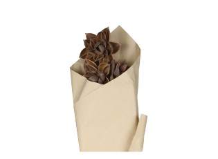 Sada sušených hnědých květin jiřinka Fleur Dahlia – 55 cm / 3ks