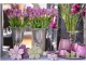 Kytice tulipánů 7ks fialkové - 46cm Exner