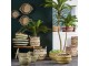 Set 2 košů z mořské trávy Afula green - Ø50*22+Ø60*26 Light & Living