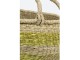 Set 2 košů z mořské trávy Afula sand - Ø50*22+Ø60*26 Light & Living