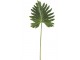 Okrasný list Monstera - 106cm J-Line by Jolipa