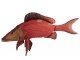 Červený polštář Fish Paul - 93*34*17cm J-Line by Jolipa