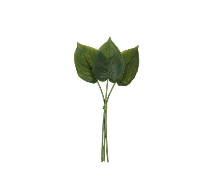 3 okrasné listy Philodendron I - 30cm J-Line by Jolipa