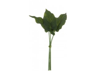 3 okrasné listy Philodendron II - 30cm