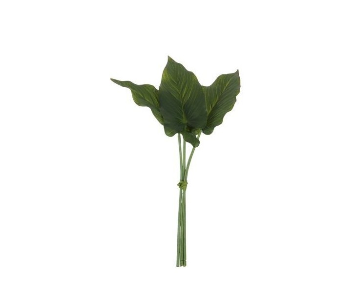 3 okrasné listy Philodendron II - 30cm J-Line by Jolipa