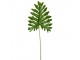 Okrasný list Philodendron - 34*80cm Esschert design