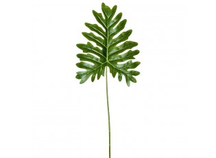 Okrasný list Philodendron - 34*80cm