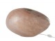 Růžová skleněná stolní lampa - 40*30*24 cm J-Line by Jolipa