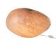 Růžová skleněná stolní lampa - 40*30*24 cm J-Line by Jolipa