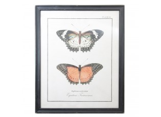 Nástěnný obraz motýli - 65*2*80 cm