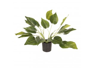 Dekorační pokojová rostlina - 46 cm