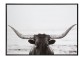 Obraz černo-bílá fotografie Bull - 104*144*4,3 cm J-Line by Jolipa