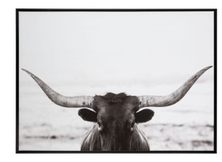 Obraz černo-bílá fotografie Bull - 104*144*4,3 cm