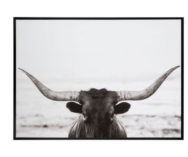 Obraz černo-bílá fotografie Bull - 104*144*4,3 cm J-Line by Jolipa