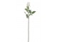 Dlouhá bílá umělá růže Rose - 12,5*74 cm J-Line by Jolipa