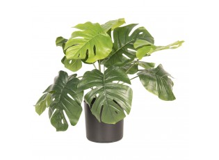 Umělá dekorační rostlina Monstera Deliciosa - 42*42*40 cm