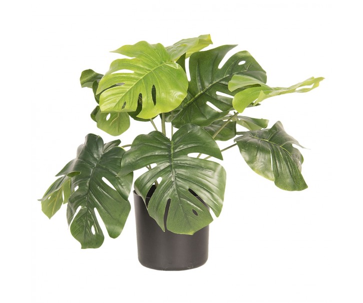 Umělá dekorační rostlina Monstera Deliciosa - 42*42*40 cm Clayre & Eef