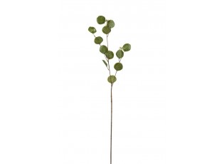 Zelená kytička Honesty - 68cm