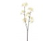Větvička se žluto-bílými květy Julien - 8*5*46 cm J-Line by Jolipa