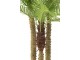 Okrasná trojitá palma v květináči Palm - Ø180*300cm J-Line by Jolipa