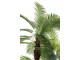 Okrasná trojitá palma v květináči Palm - Ø180*300cm J-Line by Jolipa