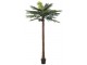 Okrasná palma v květináči Palm - Ø190*350cm J-Line by Jolipa