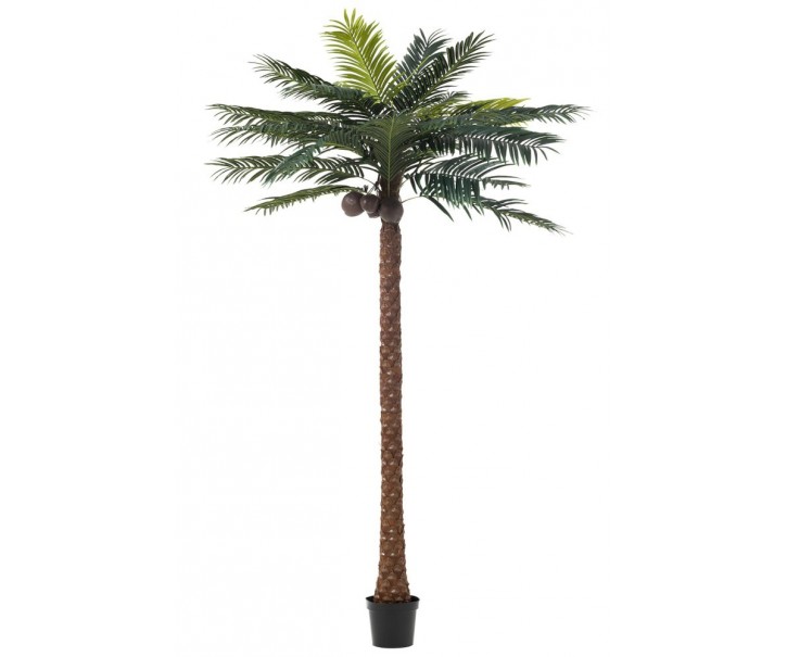 Okrasná palma v květináči Palm - Ø190*350cm J-Line by Jolipa