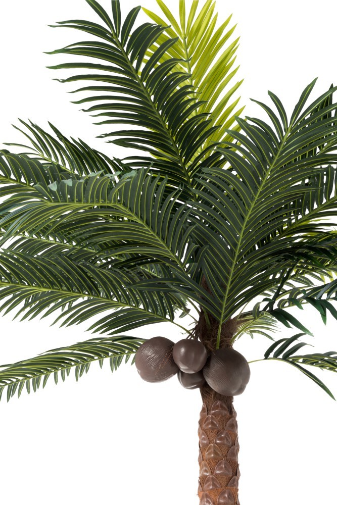 Okrasná palma v květináči Palm - Ø190*350cm J-Line by Jolipa Okrasná palma v květináči Palm - Ø190*350cm J-Line by Jolipa