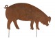 Kovový zahradní zápich Prasátko L - 70*0,5*54 cm J-Line by Jolipa