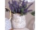 Keramický obal na květináč s ornamenty - Ø 15*14 cm Clayre & Eef