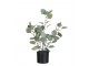 Dekorace Eucalyptus v květináči - Ø12*43cm J-Line by Jolipa