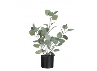 Dekorace Eucalyptus v květináči - Ø12*43cm
