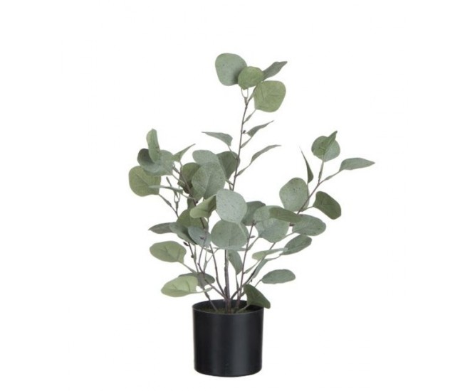 Dekorace Eucalyptus v květináči - Ø12*43cm J-Line by Jolipa
