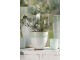 Dekorace Eucalyptus v květináči - Ø12*43cm J-Line by Jolipa