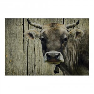 Rohožka s motivem švýcarské krávy - 75*50*1cm