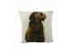 Béžový polštář čtvercový s hnědým labradorem - 33*10*33cm Mars & More 