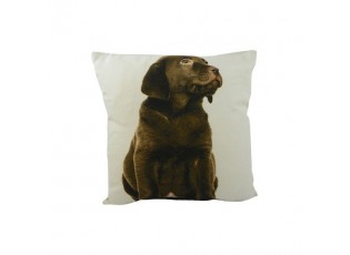 Béžový polštář čtvercový s hnědým labradorem - 33*10*33cm