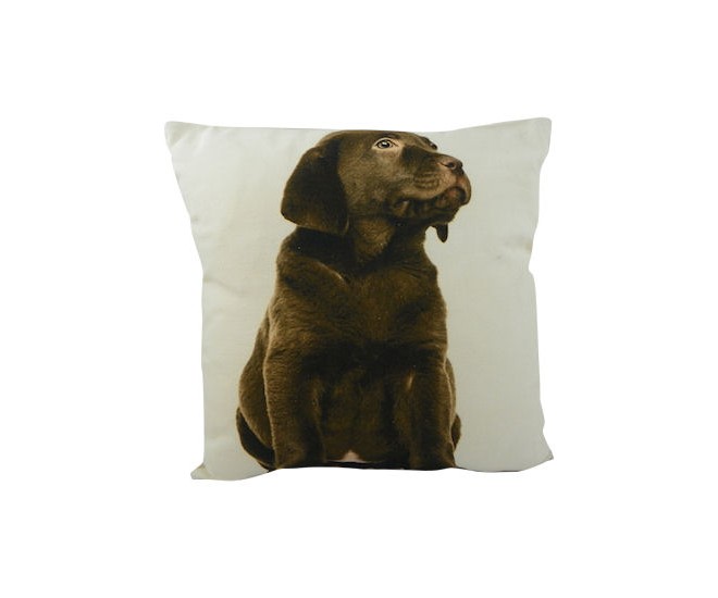 Béžový polštář čtvercový s hnědým labradorem - 33*10*33cm Mars & More 