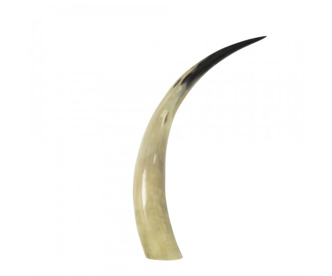 Dekrativní roh Bizon - 45cm Mars & More 