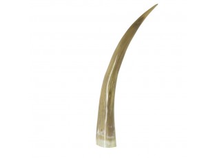Dekorativní roh Bizon - 55cm