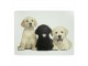 4ks pevné korkové prostírání štěňata labradora - 30*40*0,4cm Mars & More 