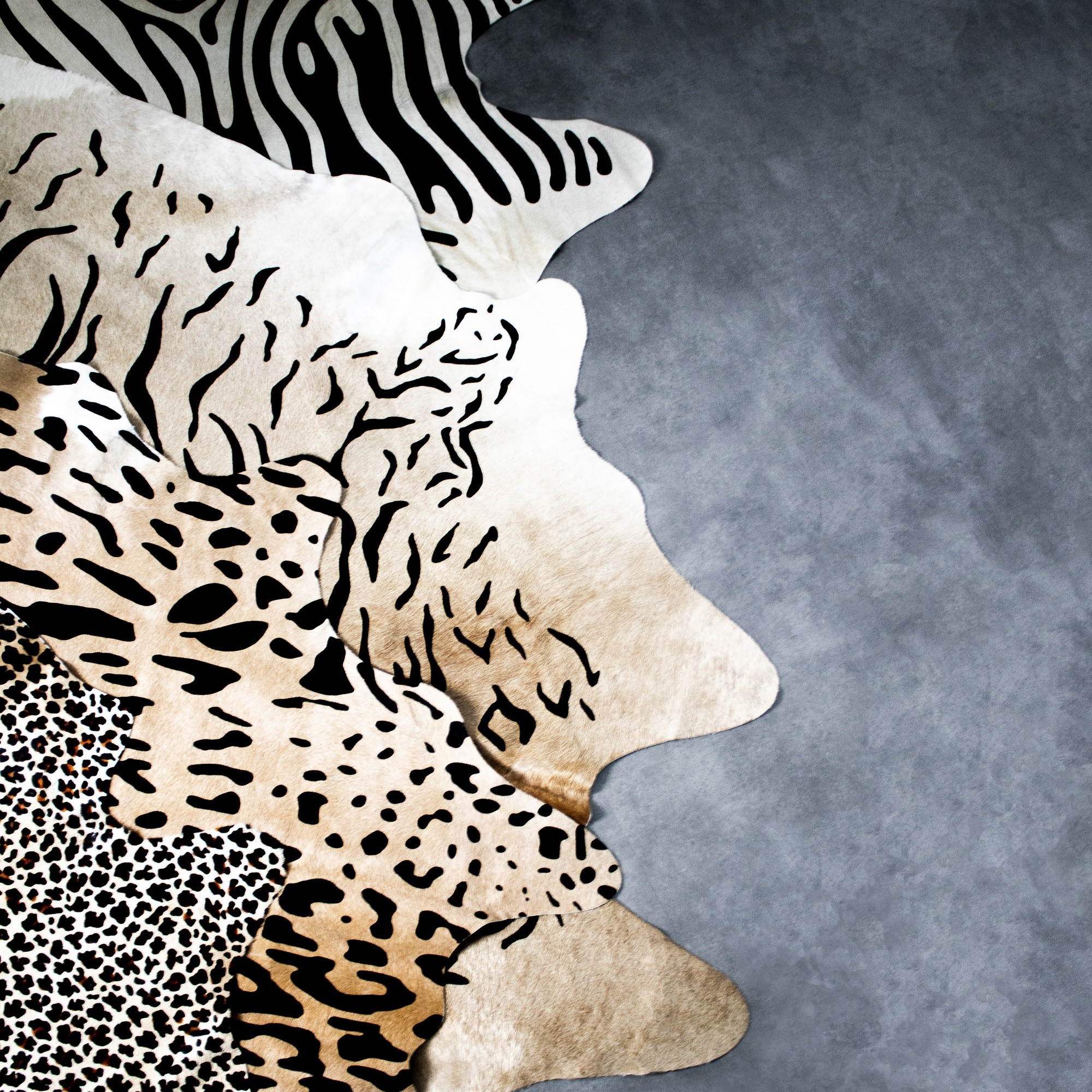 Koberec z kravské kůže zebra - 150*250*0,3cm Mars & More Koberec z kravské kůže zebra - 150*250*0,3cm Mars & More