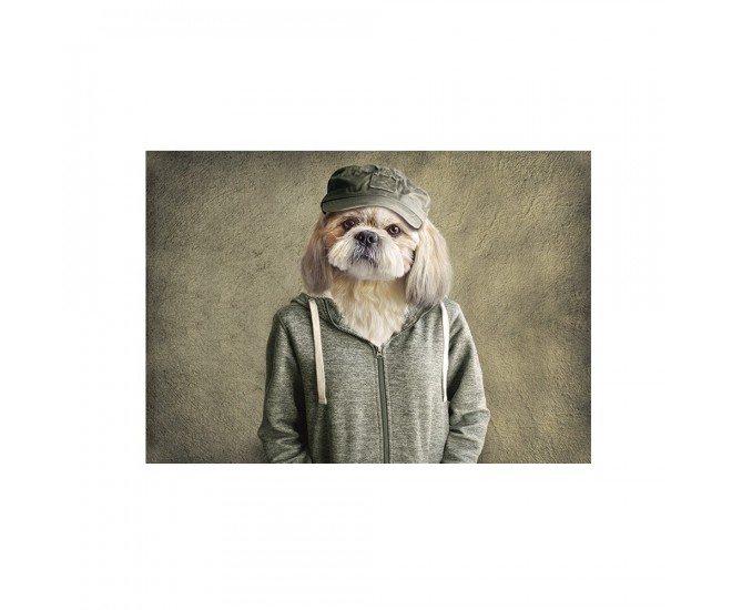 Zelená podlahová rohožka mr. Dog- 75*50*1cm Mars & More 