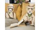 Gobelínový polštář safari Panter - 45*15*45cm Mars & More 