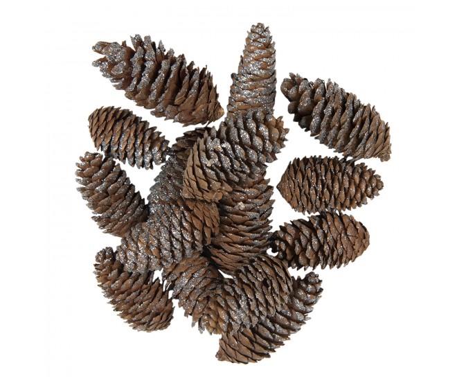 15 ks hnědo stříbrné dekorativní šišky - 7/9 cm Clayre & Eef