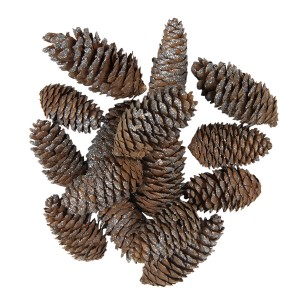 15 ks hnědo stříbrné dekorativní šišky - 7/9 cm