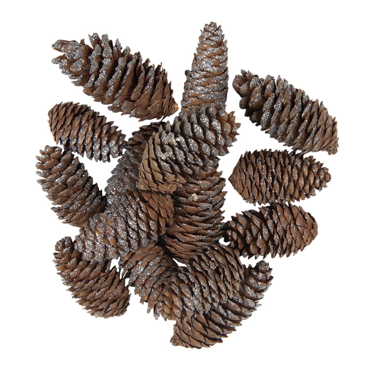 15 ks hnědo stříbrné dekorativní šišky - 7/9 cm Clayre & Eef 15 ks hnědo stříbrné dekorativní šišky - 7/9 cm Clayre & Eef