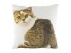 Plátěný polštář bílý s kočkou Tabby - 50*50*10cm Mars & More 