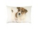 Plátěný polštář se štěnětem Jack Russel - 35*50*10cm Mars & More 