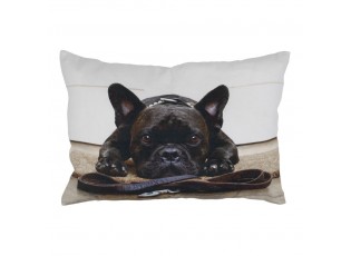 Plátěný polštář s buldočkem French Bulldog - 35*50*10cm